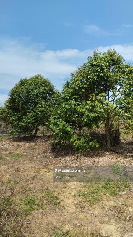 Agricultural Land for Sale in Karak, Simpang Pertang by Jon-Li Lee - iProperty.com.my