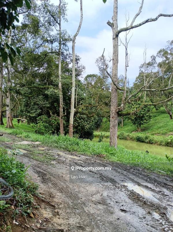 Agricultural Land for Sale in MANTIN, Seremban by Leo Hon - iProperty.com.my