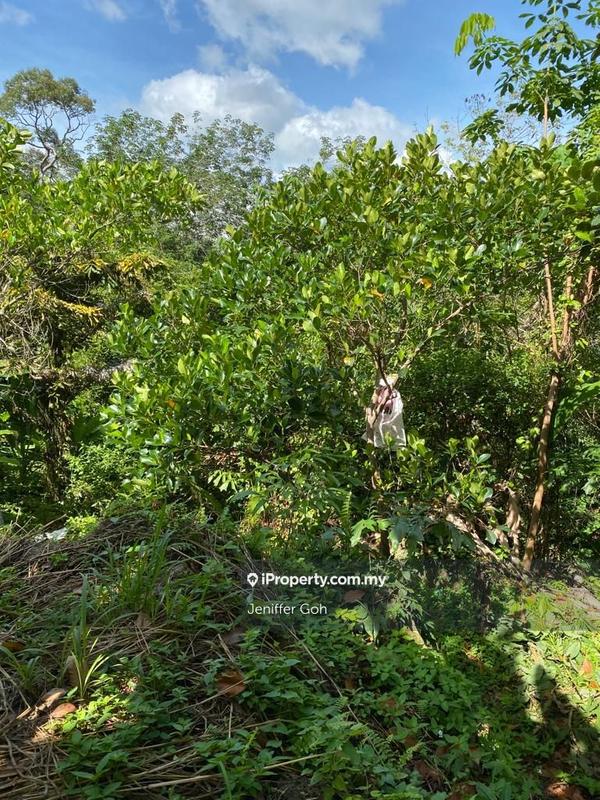 For Sale - Balik Pulau Agriculture land for sales