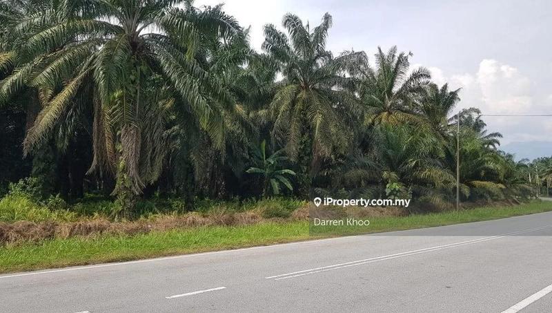 Agricultural Land for Sale in Kampung Teluk Panglima Garang, Telok Panglima Garang by Darren Khoo - iProperty.com.my