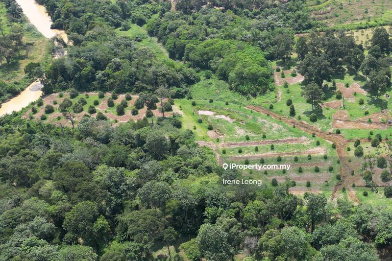 Agricultural Land for Sale in Karak, Pahang by Irene Leong - Exterior - iProperty.com.my