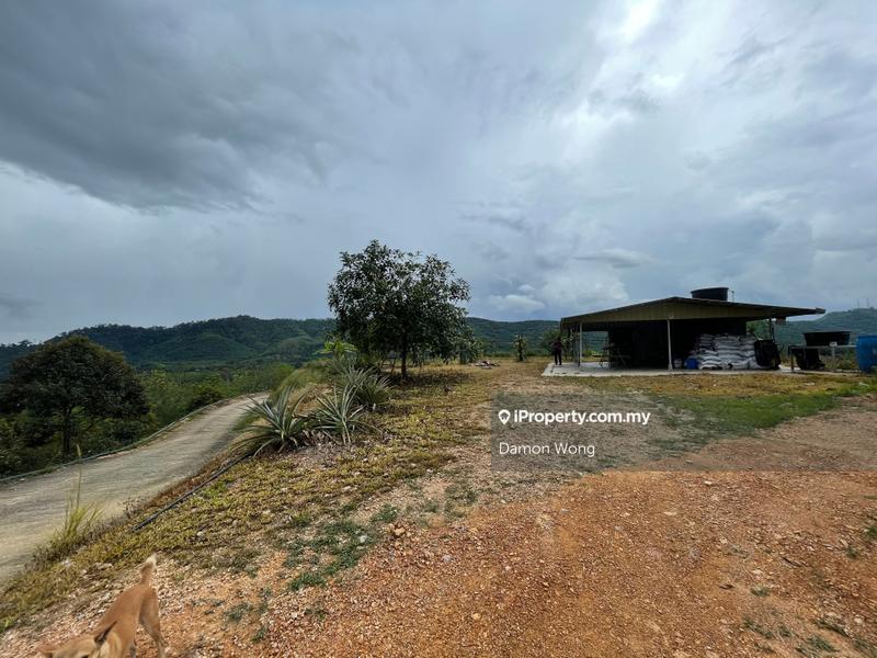 Agricultural Land for Sale in Karak, Bentong by Damon Wong - iProperty.com.my