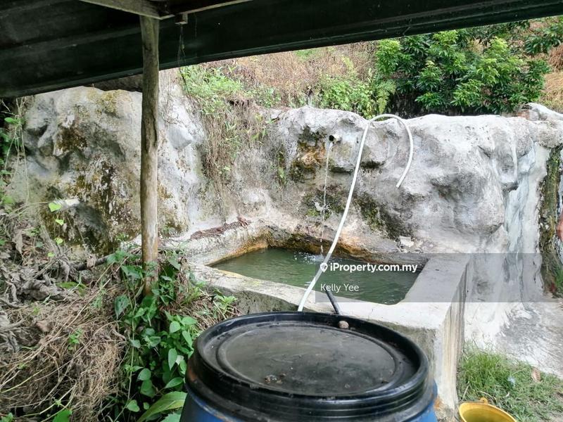 Agricultural Land for Sale in Bukit Mertajam Hill, Bukit Mertajam by Kelly Yee - iProperty.com.my