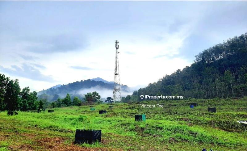 Tanah Pertanian untuk Dijual di Kampung Renal, Kuala Klawang oleh Vincent Tee - iProperty.com.my