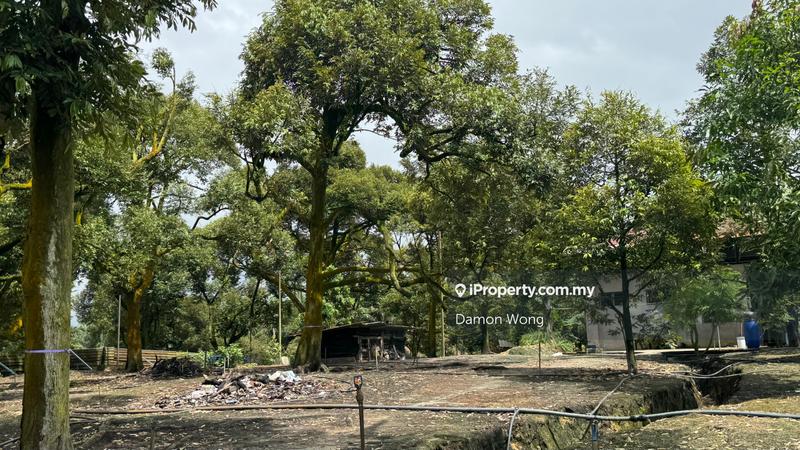 Agricultural Land for Sale in Sungai Klau, Gali by Damon Wong - iProperty.com.my
