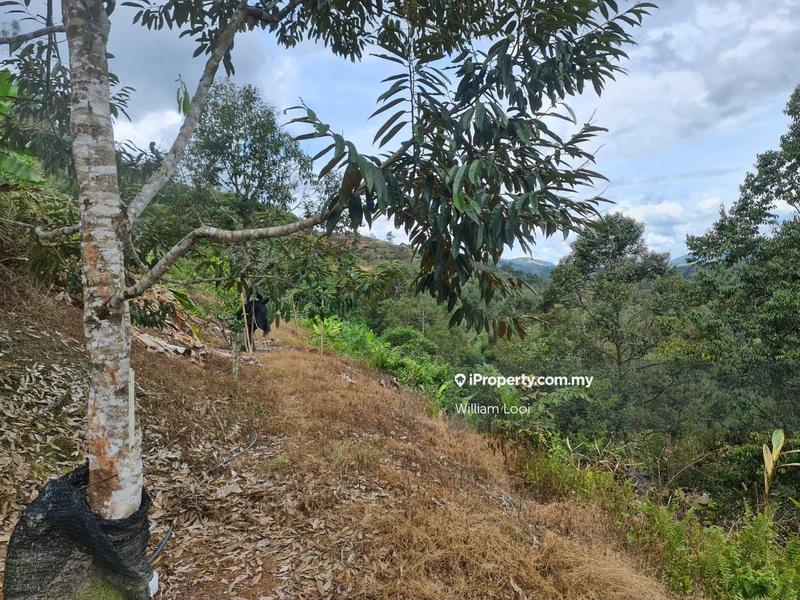 Agricultural Land for Sale in Kampung Tras, Raub by William Looi - iProperty.com.my