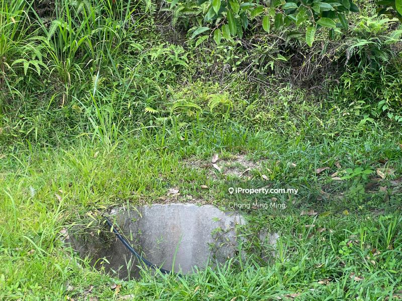 Agricultural Land for Sale in Kampung Pantai, Pantai by Chong Ming Ming - iProperty.com.my