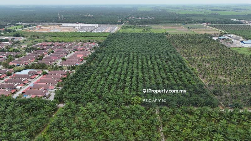 Agricultural Land for Sale in 3ayxd, Sabak Bernam by Aziz Ahmad - iProperty.com.my