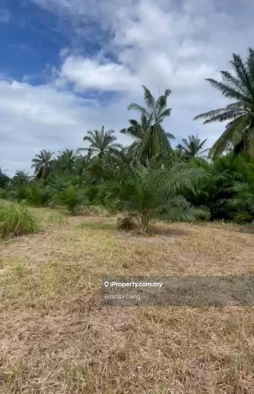 Tanah Pertanian untuk Dijual di Tanjung Dua Belas, Banting oleh Priscilla Liang - iProperty.com.my