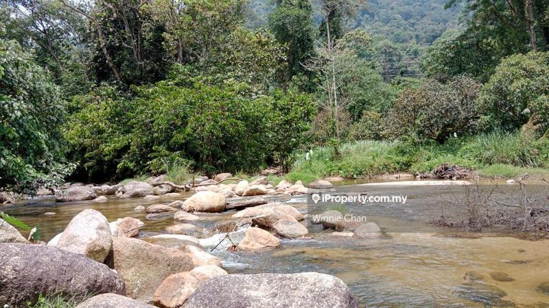Agricultural Land for Sale in Tapah Perak 550 Acres Freehold Agriculture Land, Tapah by Winnie Chan - iProperty.com.my