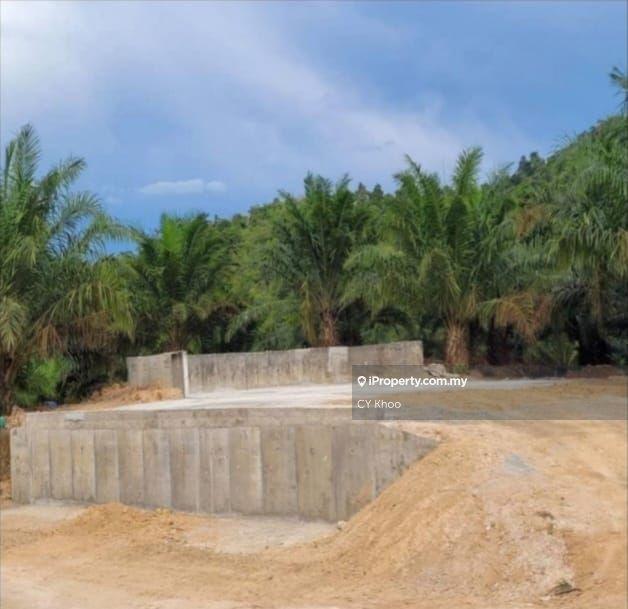 Tanah Pertanian untuk Dijual di Taman Gua Musang, Gua Musang oleh CY Khoo - iProperty.com.my