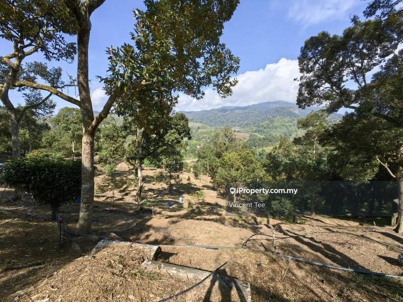 Tanah Pertanian untuk Dijual di Cheroh, Raub oleh Vincent Tee - iProperty.com.my