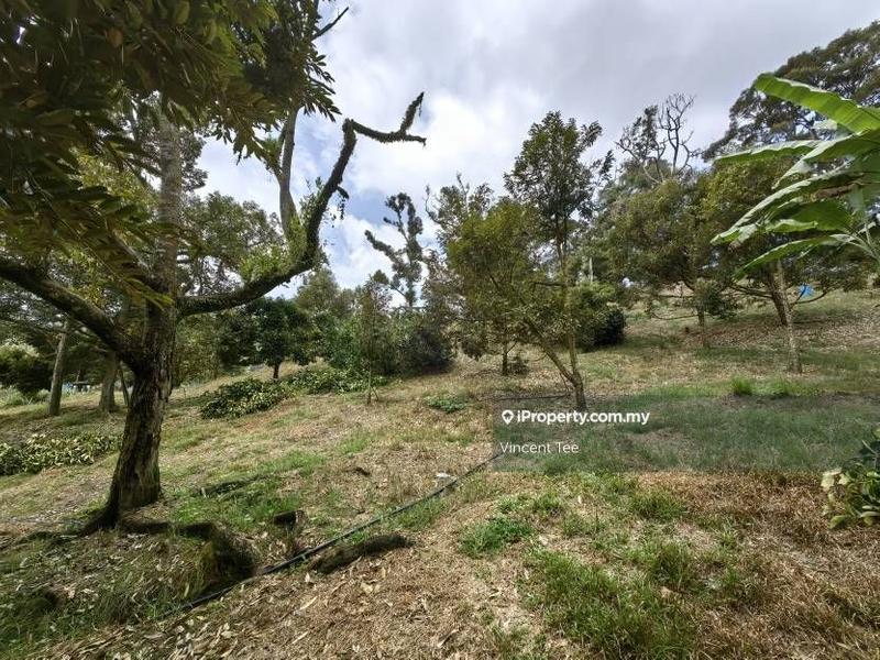 Tanah Pertanian untuk Dijual di Cheroh, Raub oleh Vincent Tee - iProperty.com.my