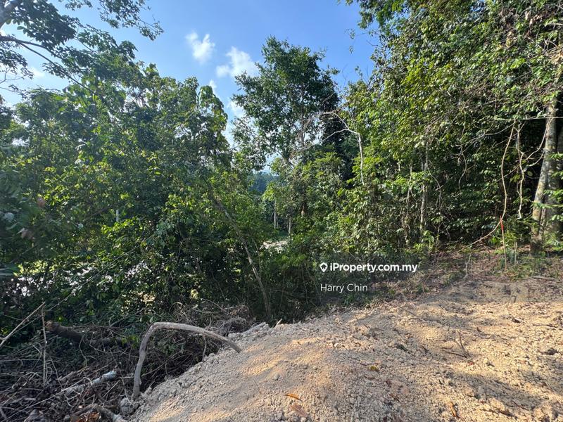 Agricultural Land for Sale in 2.56ac beside main road, Lanchang, Karak by Harry Chin - iProperty.com.my