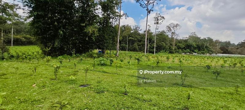 Agricultural Land for Sale in Batang Kali, Selangor by Iz Hakim - iProperty.com.my