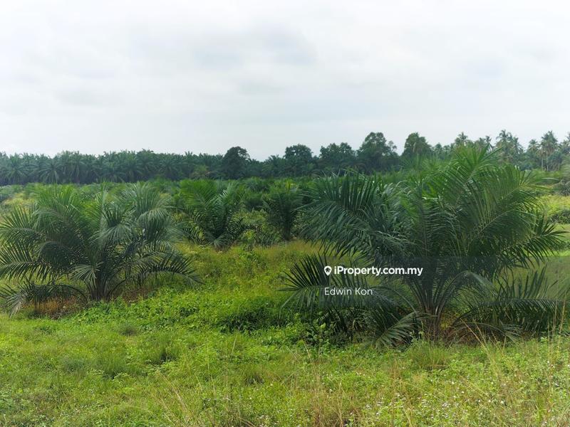 Agricultural Land for Sale in Seri Manjung, Perak by Edwin Kon - iProperty.com.my