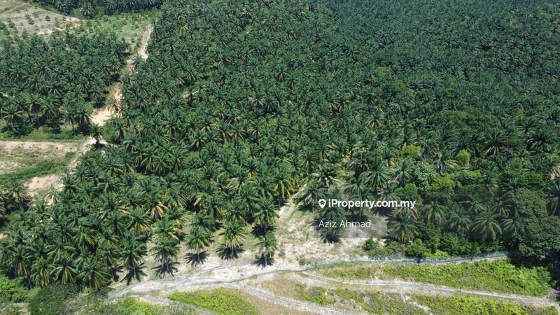 Agricultural Land for Sale in Rembau, Rembau by Aziz Ahmad - iProperty.com.my