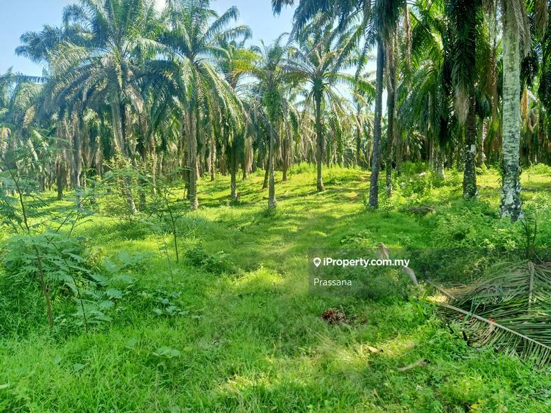 Residential Land for Sale in Bukit Karangan, Padang Serai by Prassana - iProperty.com.my