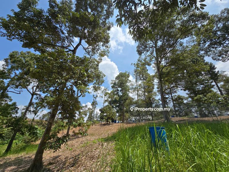 Agricultural Land for Sale in Karak, Pahang by Irene Leong - iProperty.com.my