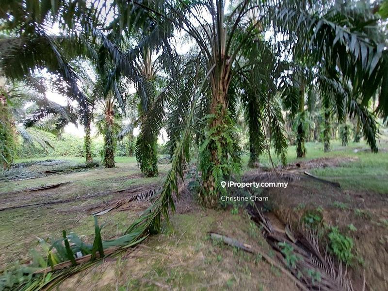 Tanah Kediaman untuk Dijual di Kota Tinggi Johor, Kota Tinggi oleh Christine Cham - iProperty.com.my