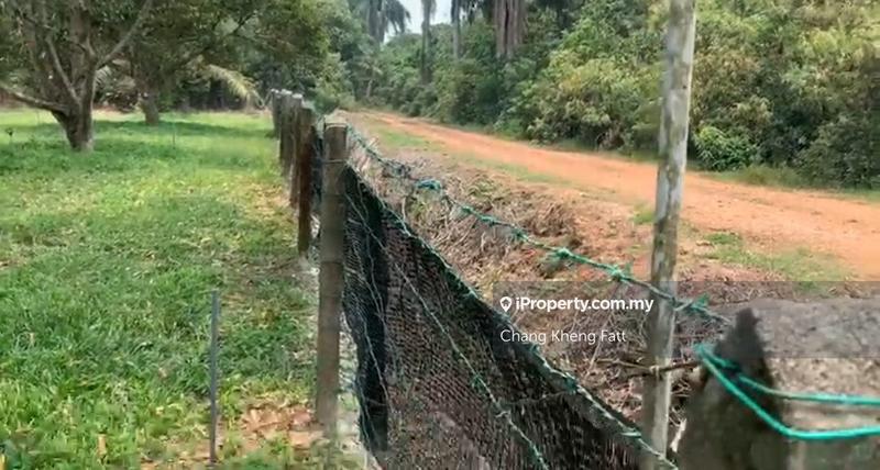 For Sale - Lake District Orchard, Tanjung Sepat