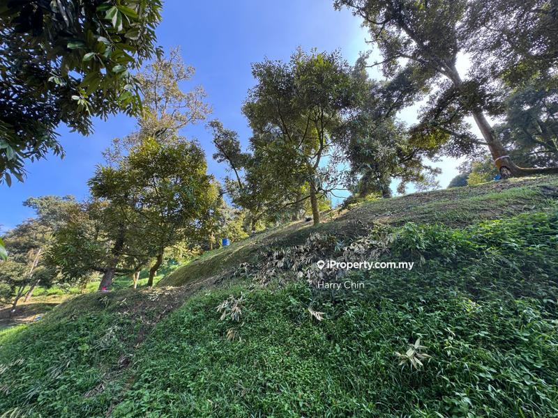 Agricultural Land for Sale in Karak, Bentong by Harry Chin - iProperty.com.my