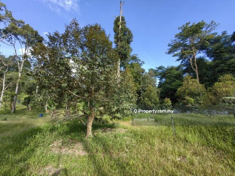 For Sale - 2 Acres Freehold Durian Farm Next to River Padang Tengku Kuala Lipis Raub Bentong