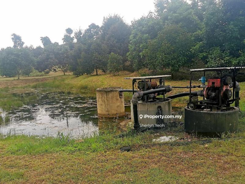 Agricultural Land for Sale in Slim River, Perak by Sherlyn Yeoh - iProperty.com.my