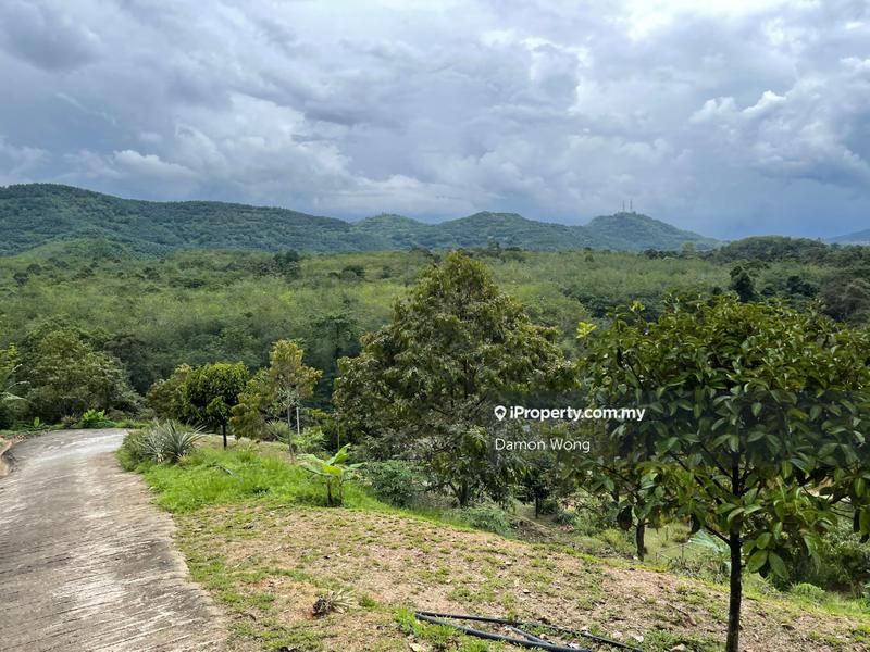 Agricultural Land for Sale in Karak, Bentong by Damon Wong - iProperty.com.my