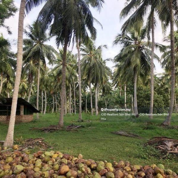 For Sale - Batu Kawan Industrial Land , Byram , Nibong Tebal , Sungai Jawi, Changkat