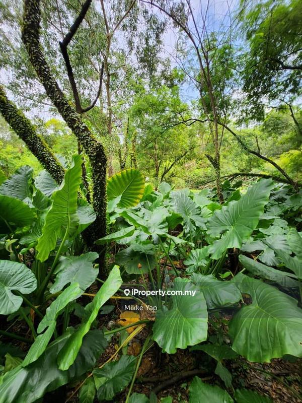 Industrial Land for Sale in Pusat Bandar Puchong, Puchong by Mikke Yap - iProperty.com.my