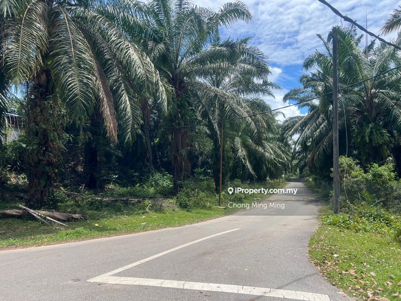 Tanah Pertanian untuk Dijual di Bandar Springhill, Port Dickson oleh Chong Ming Ming - iProperty.com.my