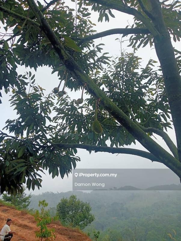 Tanah Pertanian untuk Dijual di Kampung Sungai Muntoh, Titi oleh Damon Wong - Exterior - iProperty.com.my