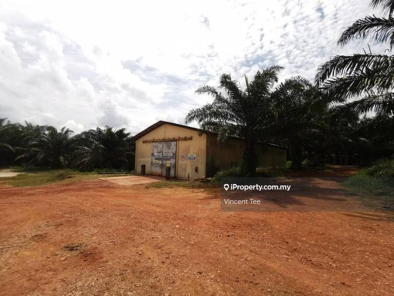 Agricultural Land for Sale in Bukit Kuin, Kuantan by Vincent Tee - iProperty.com.my