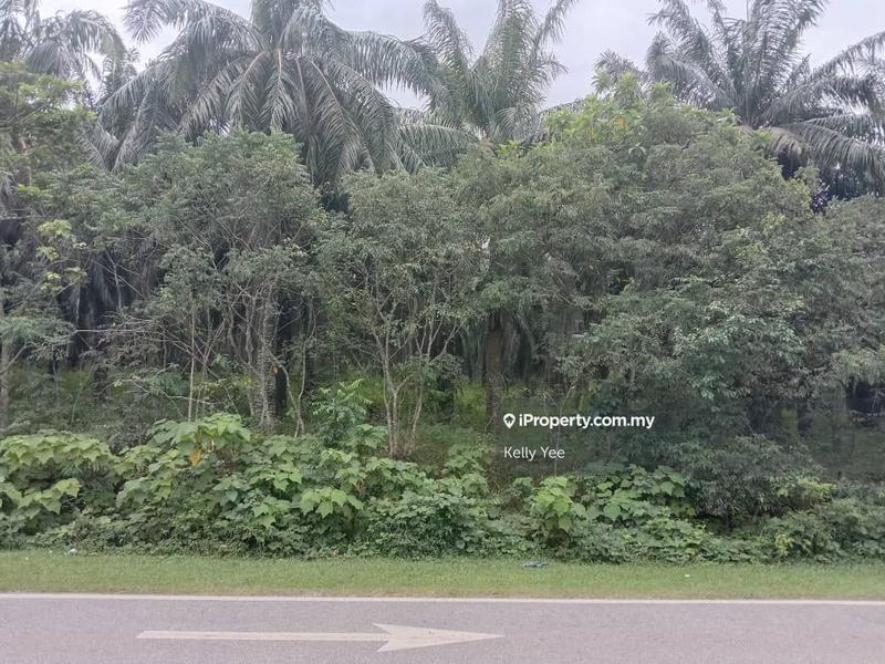 For Sale - Palm Oil Plantation for Sale in Sungai Petani