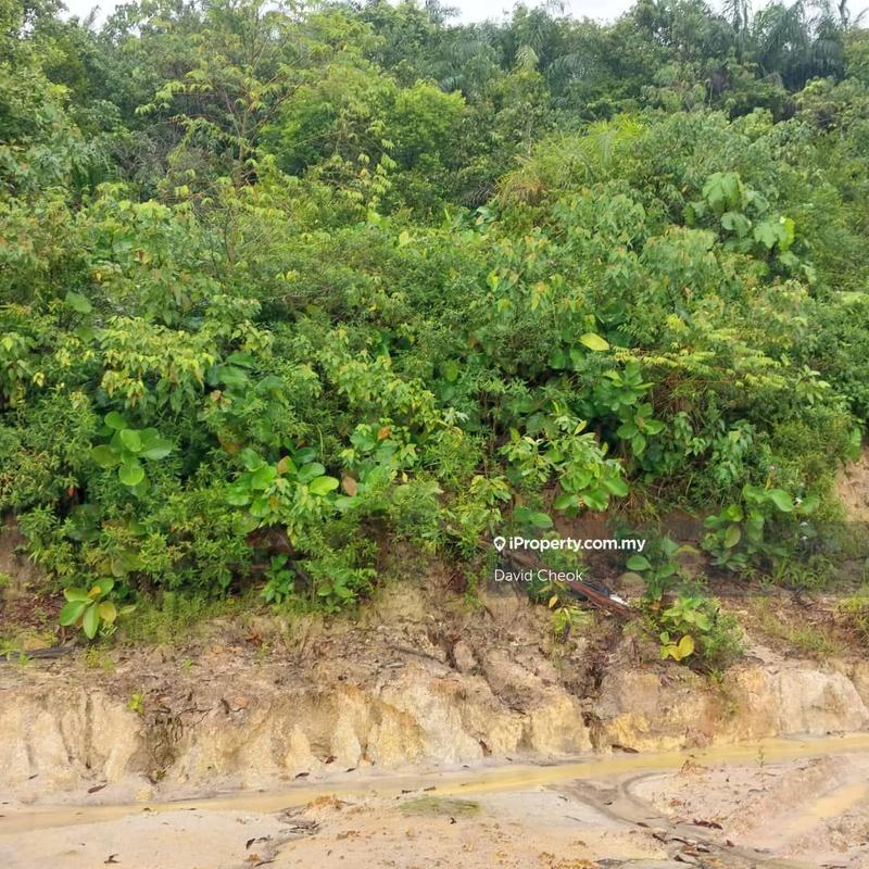 For Sale - CHEAP DEAL! // EXISTING BIRD HOUSE WITH PALM OIL // 2 ACRE