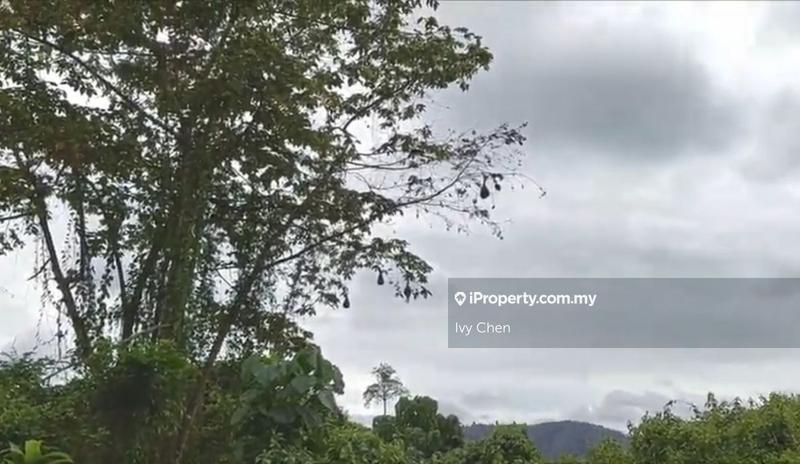 Bungalow Land for Sale in The Valley, Bentong by Ivy Chen - iProperty.com.my