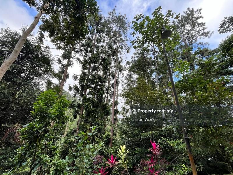 Bungalow Land for Sale in Bukit Tinggi, Bentong by Jason Wong - iProperty.com.my