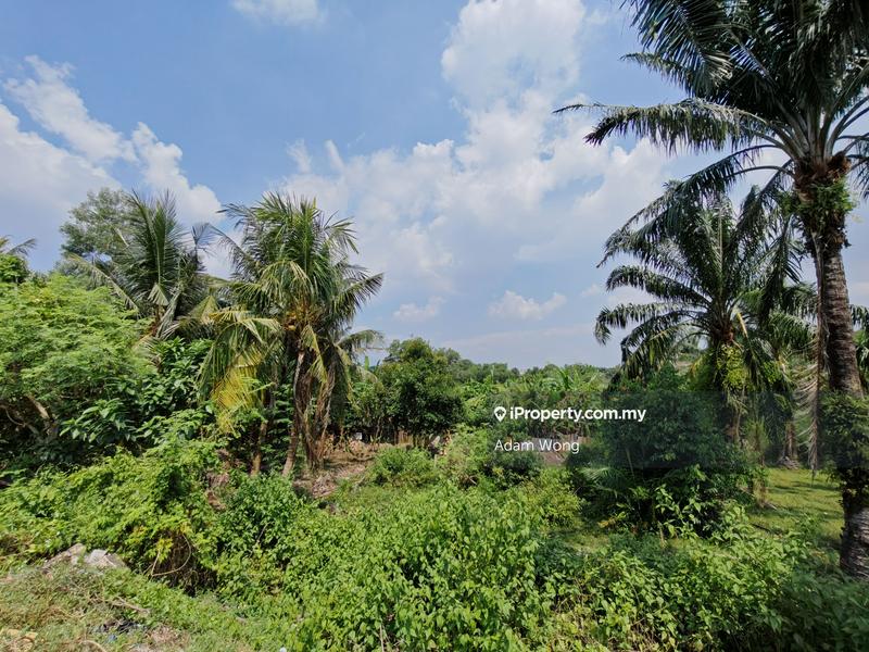 Agricultural Land for Sale in Taman Desa Bidara, Kuala Ketil by Adam Wong - iProperty.com.my