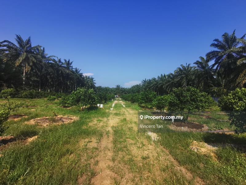 For Sale - Medium Industrial Land, Bestari Jaya, Bukit Badong, kuala Selangor