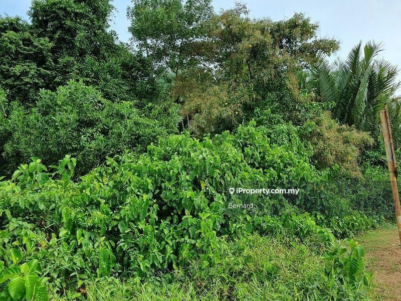 Agricultural Land for Sale in Nibong Tebal, Nibong Tebal by Bernard - iProperty.com.my