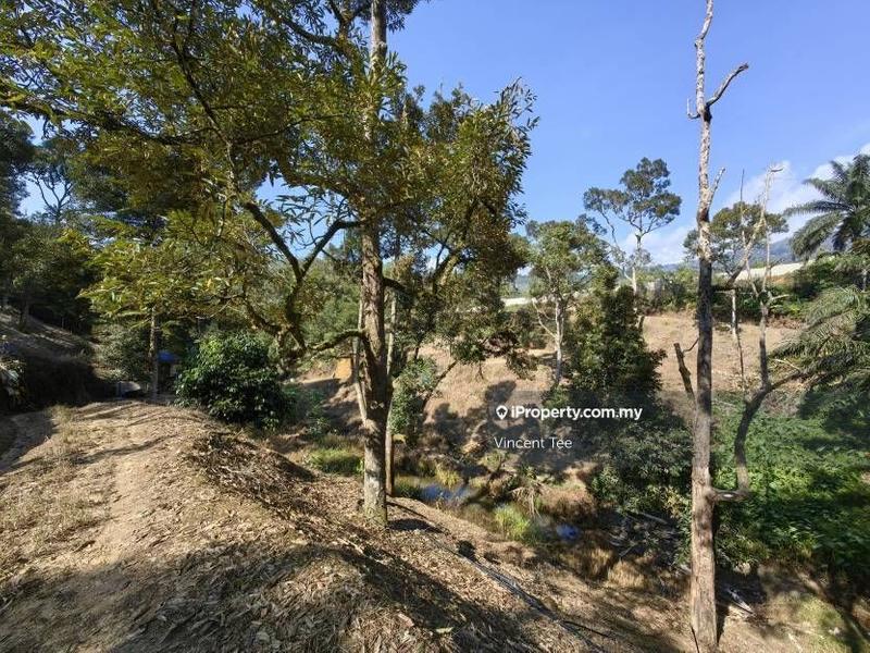 Tanah Pertanian untuk Dijual di Cheroh, Raub oleh Vincent Tee - iProperty.com.my