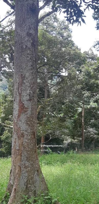 Tanah Pertanian untuk Dijual di Taman Jelebu, Kuala Klawang oleh William Ng - iProperty.com.my