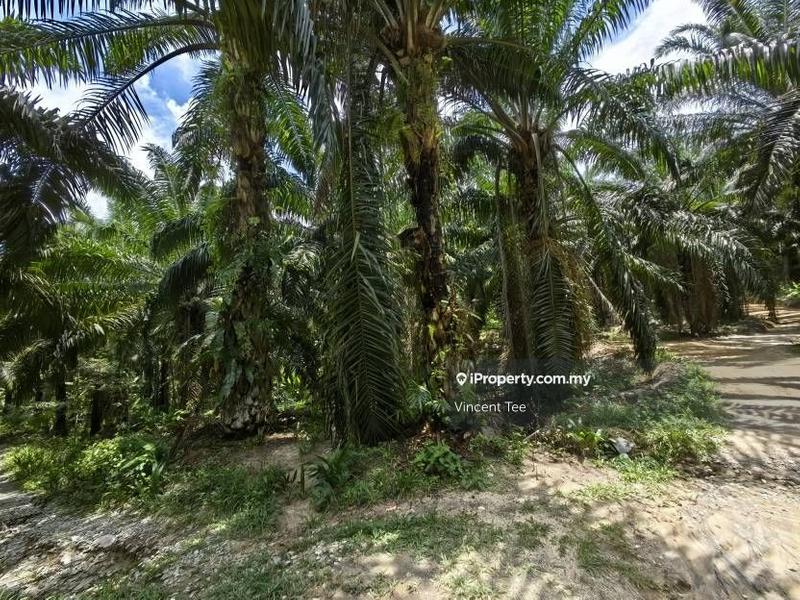 Tanah Pertanian untuk Dijual di Taman Jelebu, Kuala Klawang oleh Vincent Tee - iProperty.com.my
