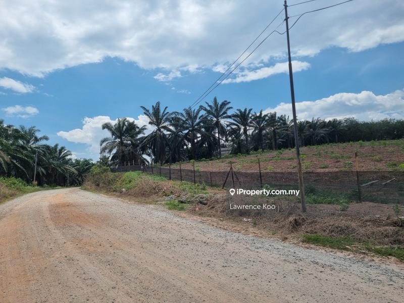 Agricultural Land for Sale in Simpang Gading, Durian Tunggal by Lawrence Koo - iProperty.com.my