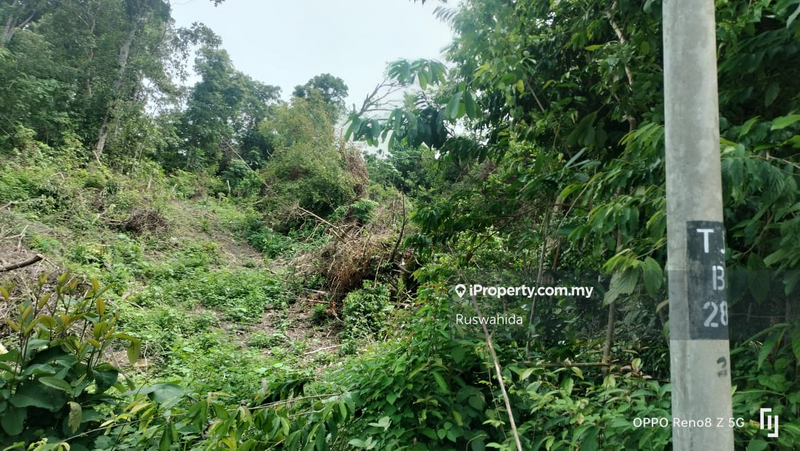 Agricultural Land for Sale in Tanjong Jaga, Yan by Ruswahida - iProperty.com.my