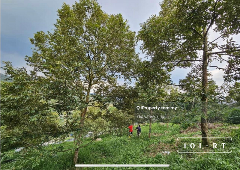 Agricultural Land for Sale in Kampung Sungai Makau, Hulu Langat by Yap Chew Ying - iProperty.com.my