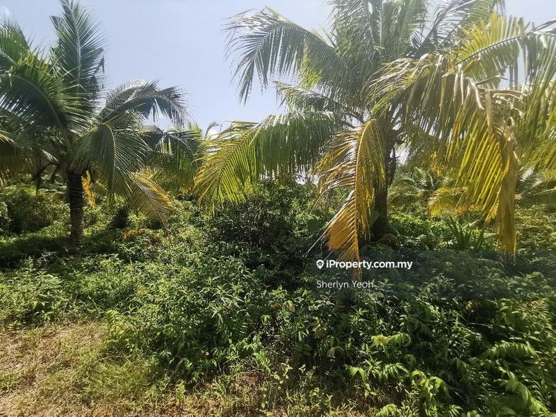 Banglo Tanah untuk Dijual di Port Dickson, Port Dickson oleh Sherlyn Yeoh - iProperty.com.my