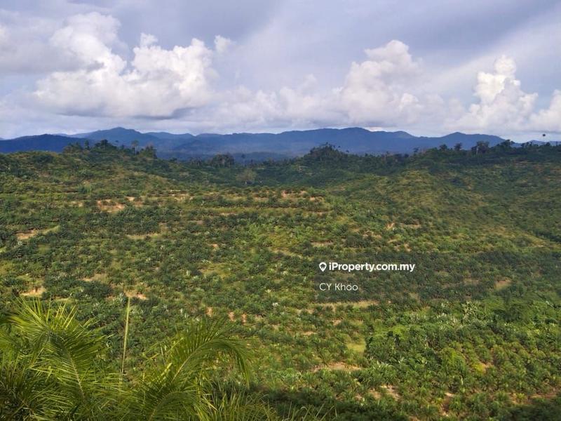 Tanah Pertanian untuk Dijual di Taman Gua Musang, Gua Musang oleh CY Khoo - iProperty.com.my