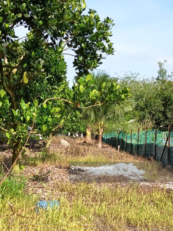 Agricultural Land for Sale in Dangi, Johol by Huda - iProperty.com.my